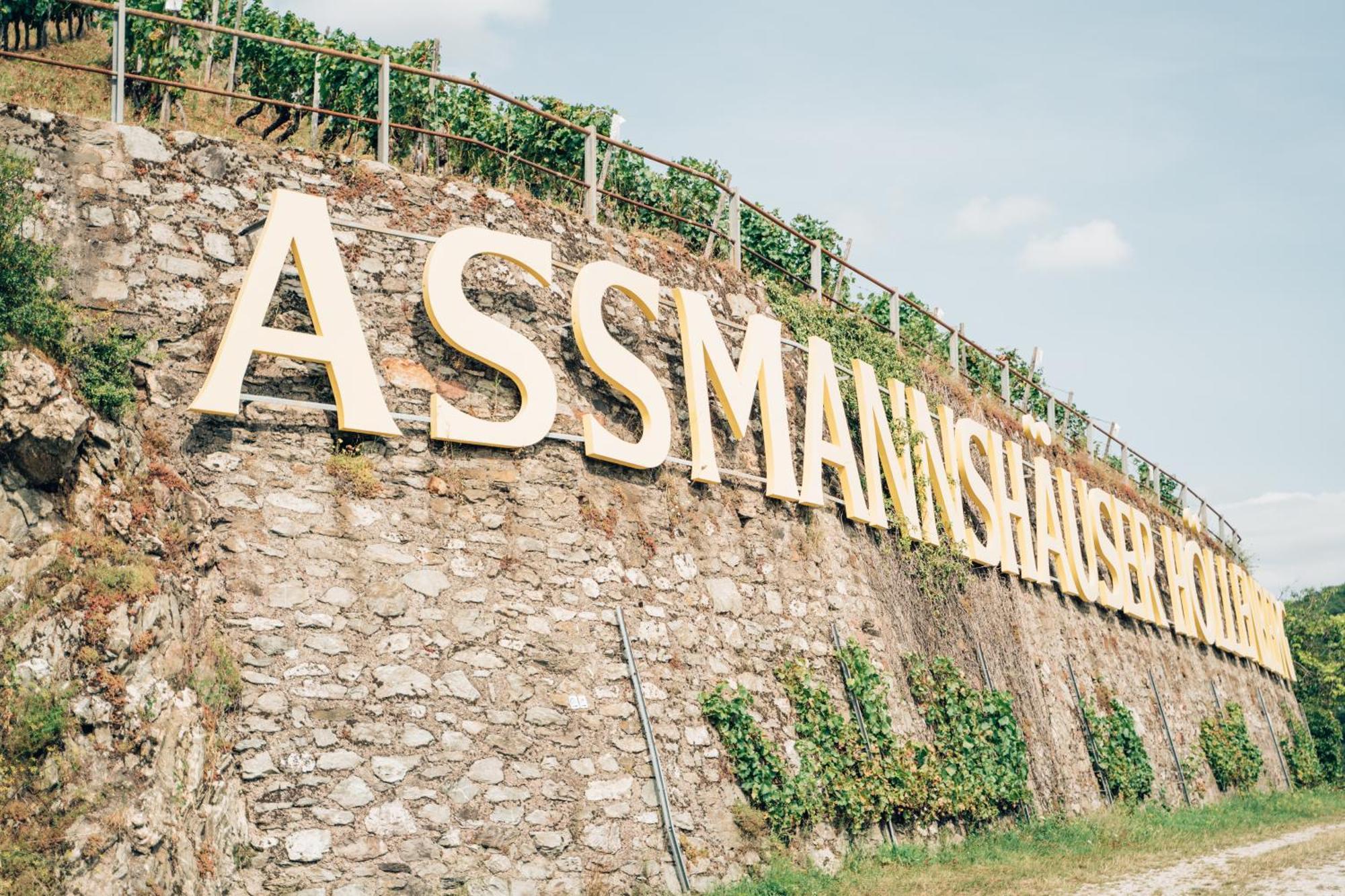 Akzent Hotel Berg'S Alte Bauernschaenke- Wellness Und Wein Rüdesheim am Rhein Extérieur photo
